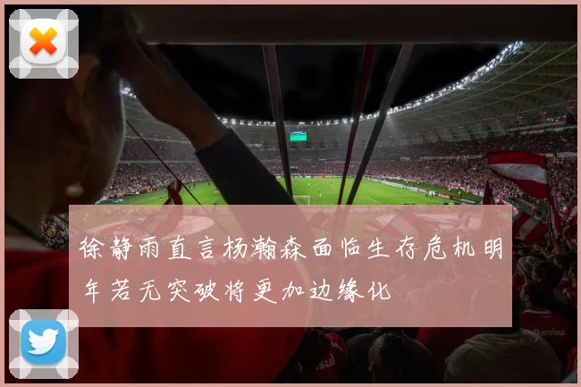 徐静雨直言杨瀚森面临生存危机明年若无突破将更加边缘化